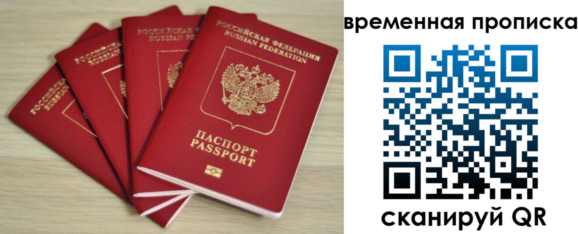 прописка для школы в Новозыбкове