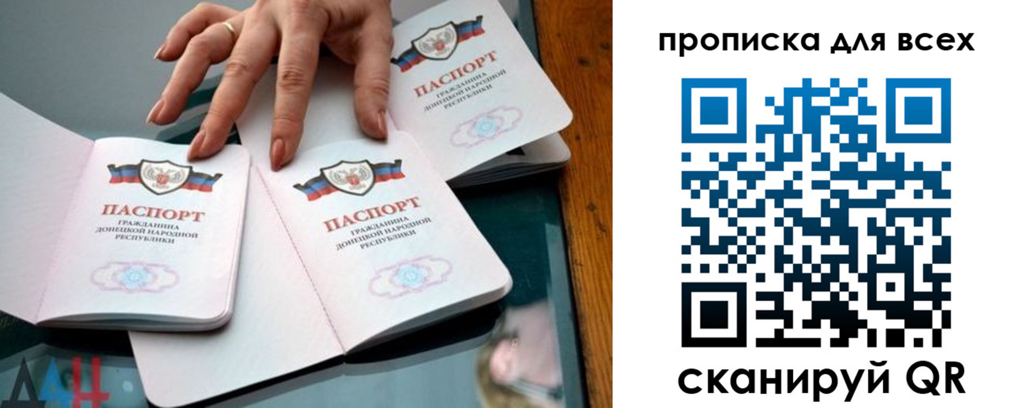 прописка гарантия в Новозыбкове